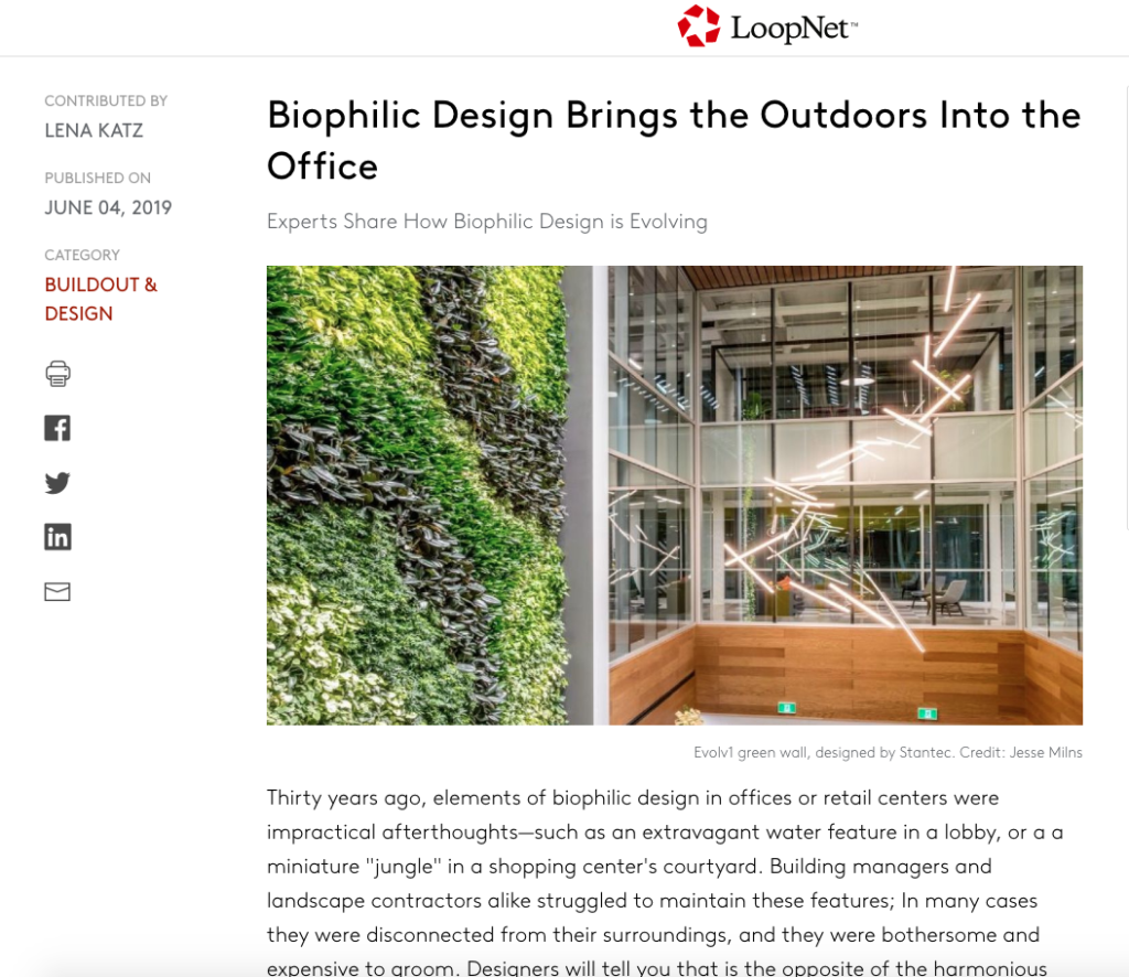 Biophilic Design Brings the Outdoors Into the Office